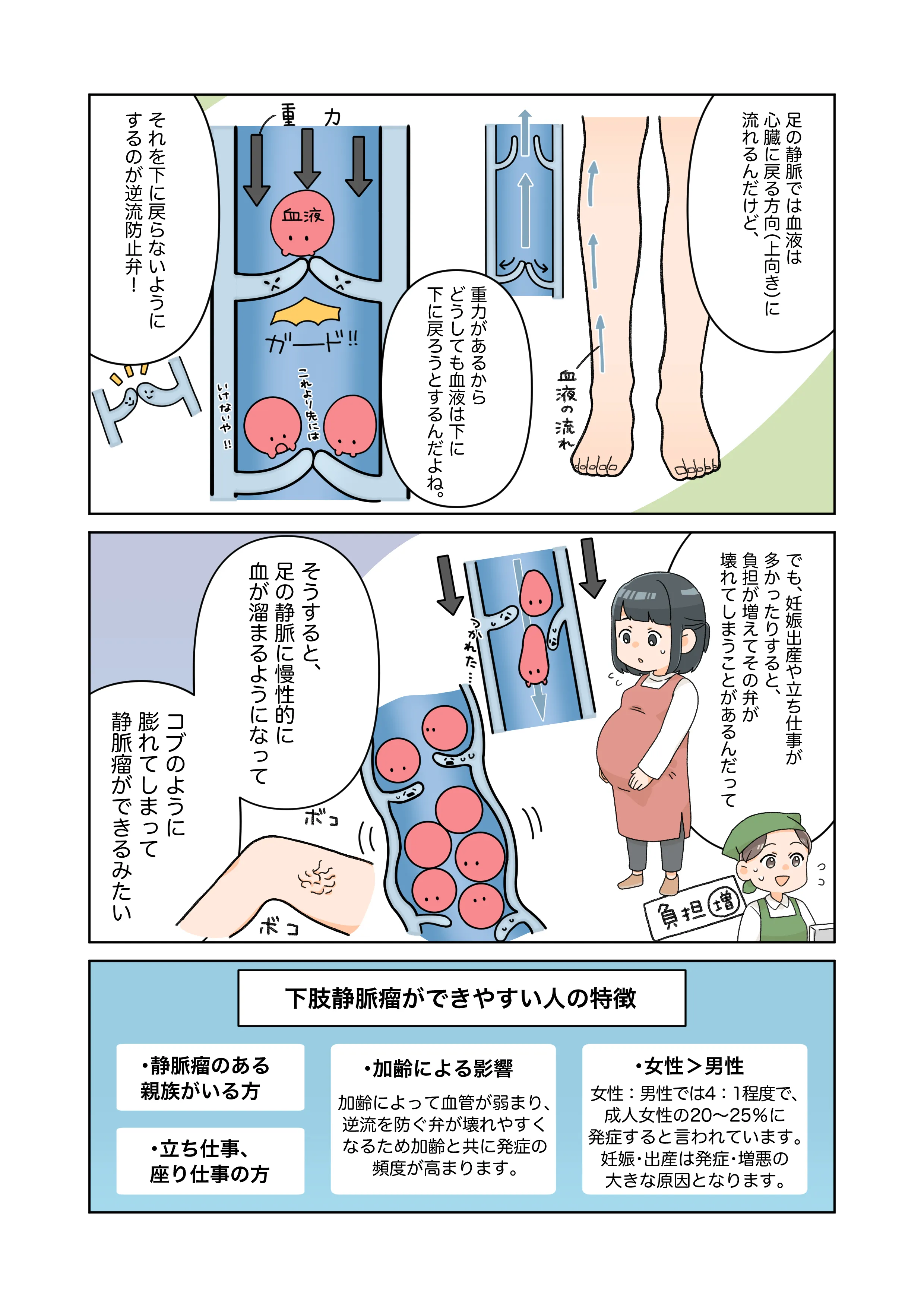 下肢静脈瘤がどうしてできるのか解説し、下肢静脈瘤ができやすい人を説明している漫画
